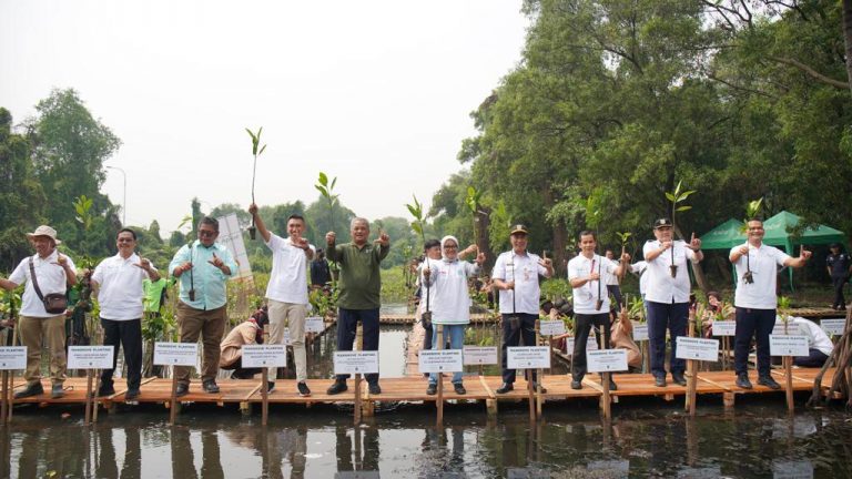 Apical Menanam 3.000 Pohon Mangrove di Jakarta