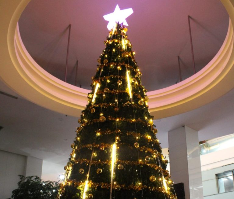 Pembukaan Pohon Natal Megah di Merlynn Park Hotel Jakarta