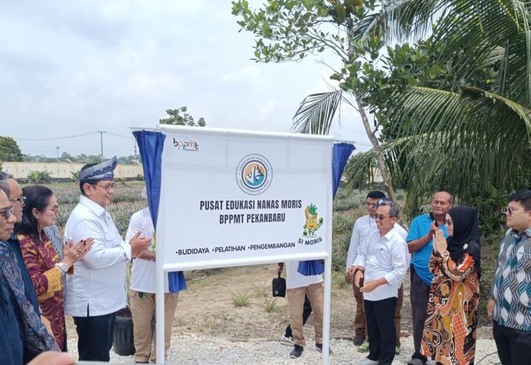 Wamen Transmigrasi Hadiri Festival Nanas dan Resmikan Pusat Edukasi Nanas Moris
