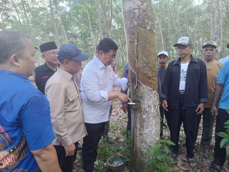 Wamen Transmigrasi Dorong Kebangkitan Petani Karet, Siap Perjuangkan Subsidi Pupuk dan Program Tumpangsari