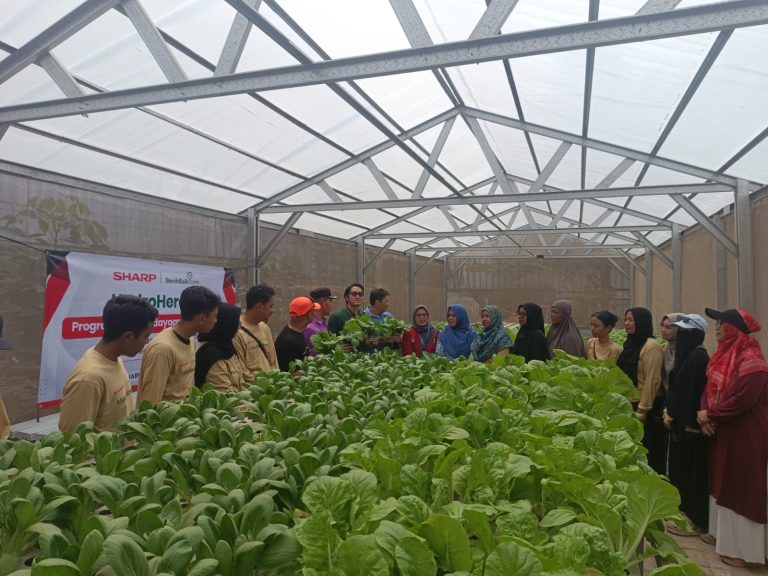 Sharp Hydro Heroes di Bekasi: Berdayakan Ibu Muda, Panen Sayur, Tumbuhkan Ekonomi Keluarga