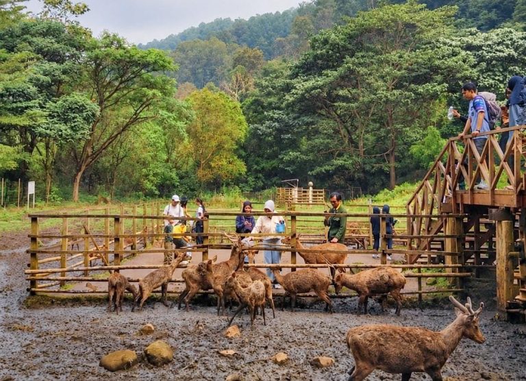 de Braga by ARTOTEL Kenalkan The Urban Nature Retreat, Hadirkan Pengalaman wellness